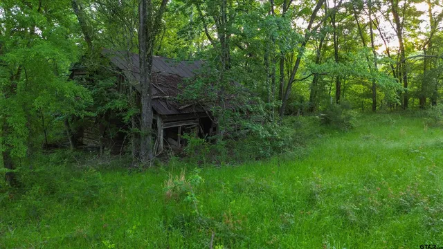 a backyard of a house with lots of green space and trees