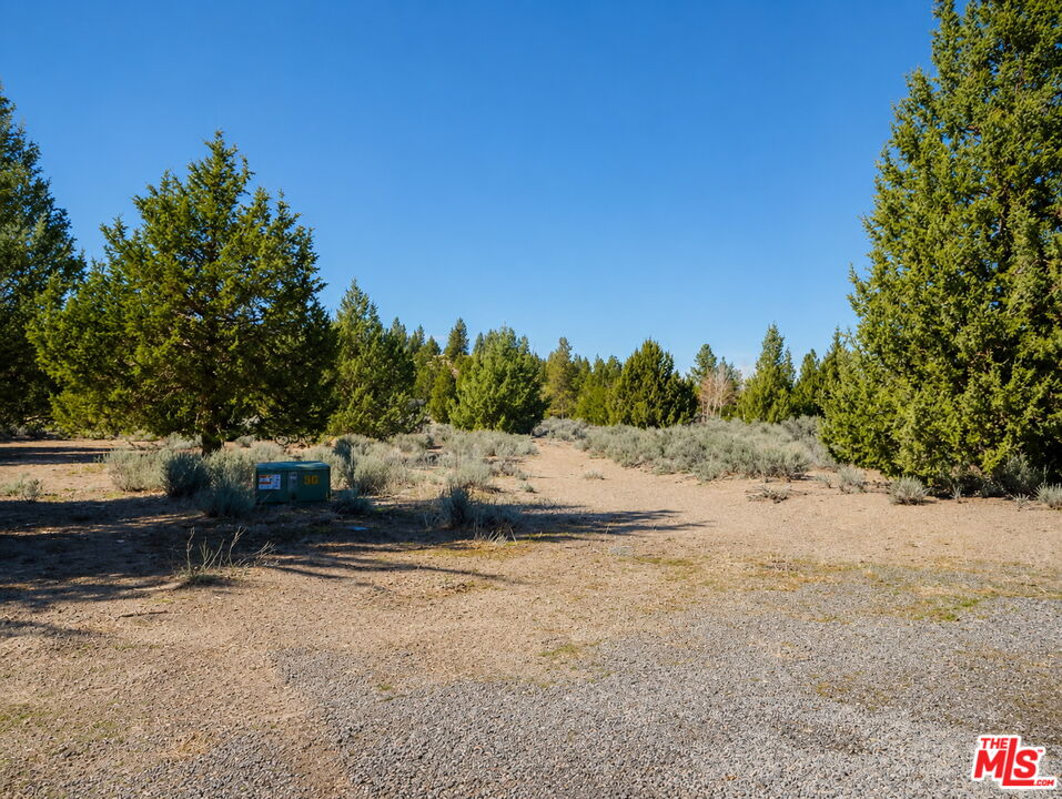 16728 Devlin Court Weed, CA 96094 - Photo 1 of 1 a view of a yard with a tree