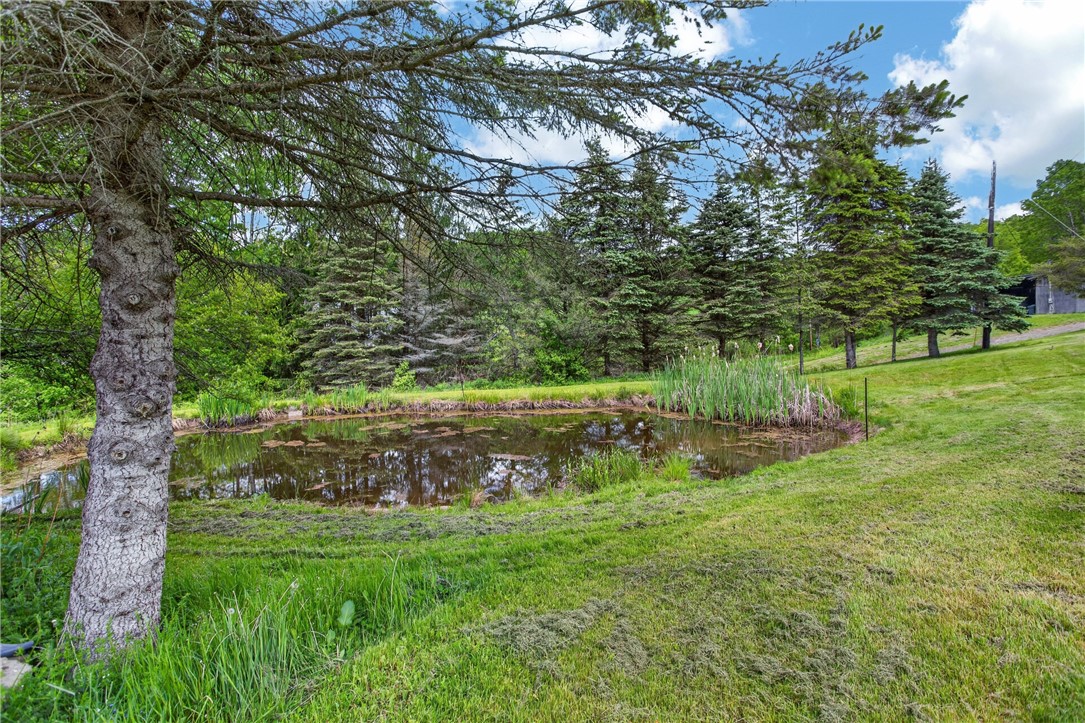 500 Munn Road Walton, NY 13856 - Photo 35 of 41