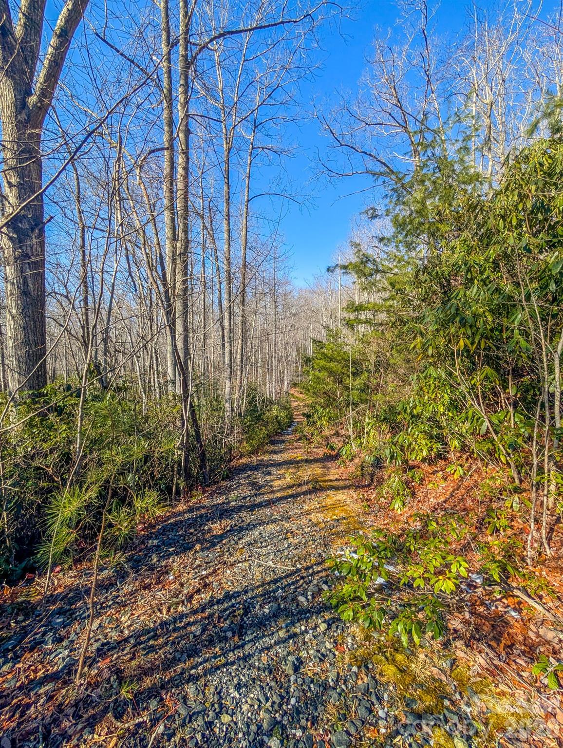 0 Halls Chapel Road Burnsville, NC 28714 - Photo 11 of 47