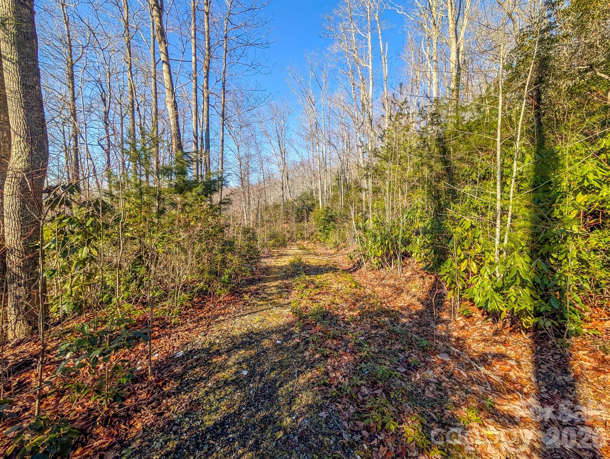 0 Halls Chapel Road Burnsville, NC 28714 - Photo 12 of 47