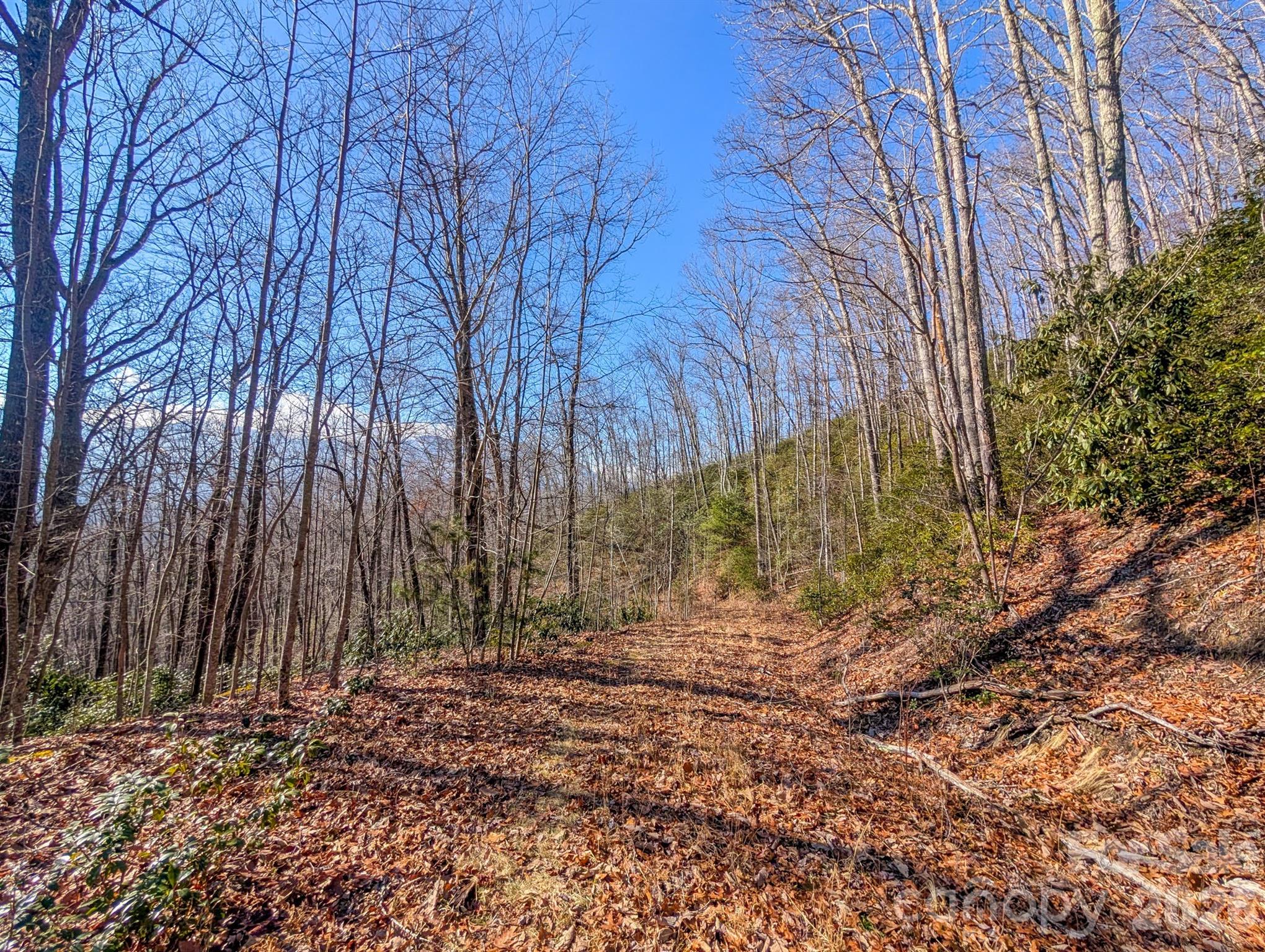 0 Halls Chapel Road Burnsville, NC 28714 - Photo 14 of 47