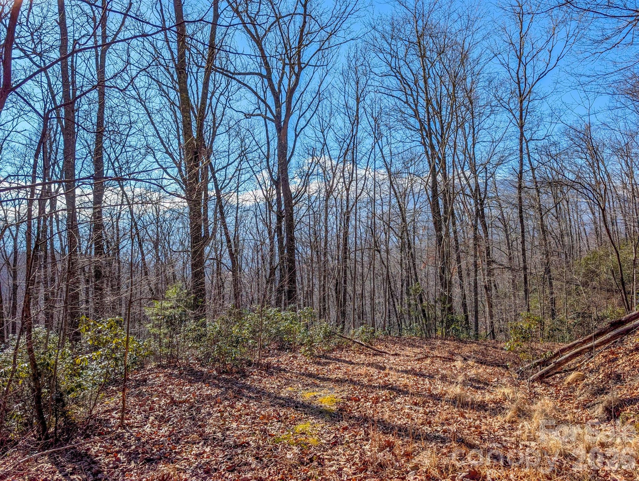 0 Halls Chapel Road Burnsville, NC 28714 - Photo 15 of 47