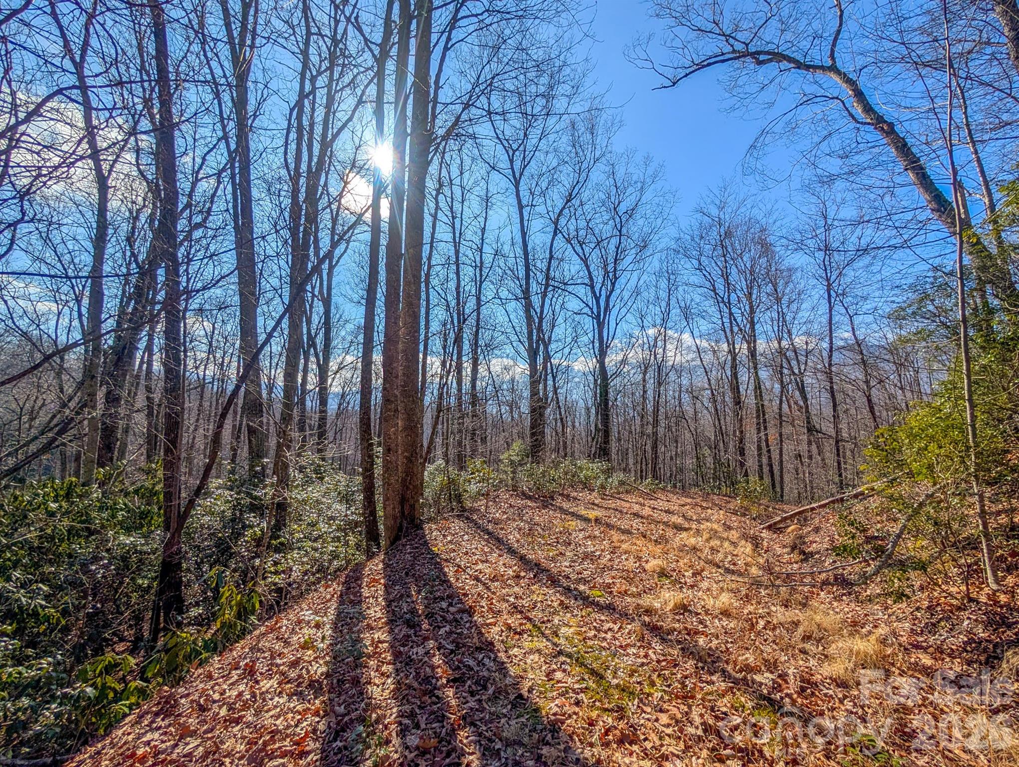 0 Halls Chapel Road Burnsville, NC 28714 - Photo 17 of 47