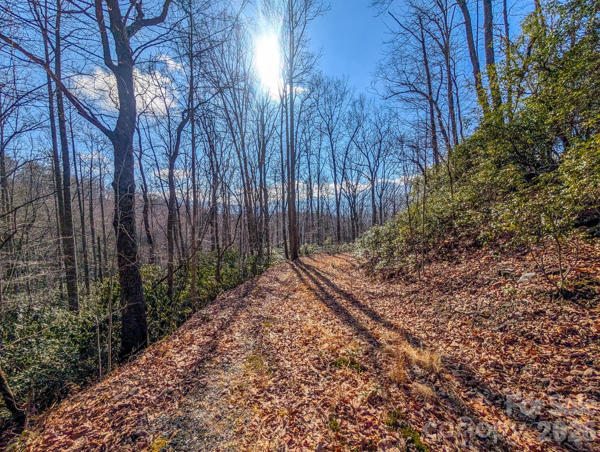 0 Halls Chapel Road Burnsville, NC 28714 - Photo 18 of 47