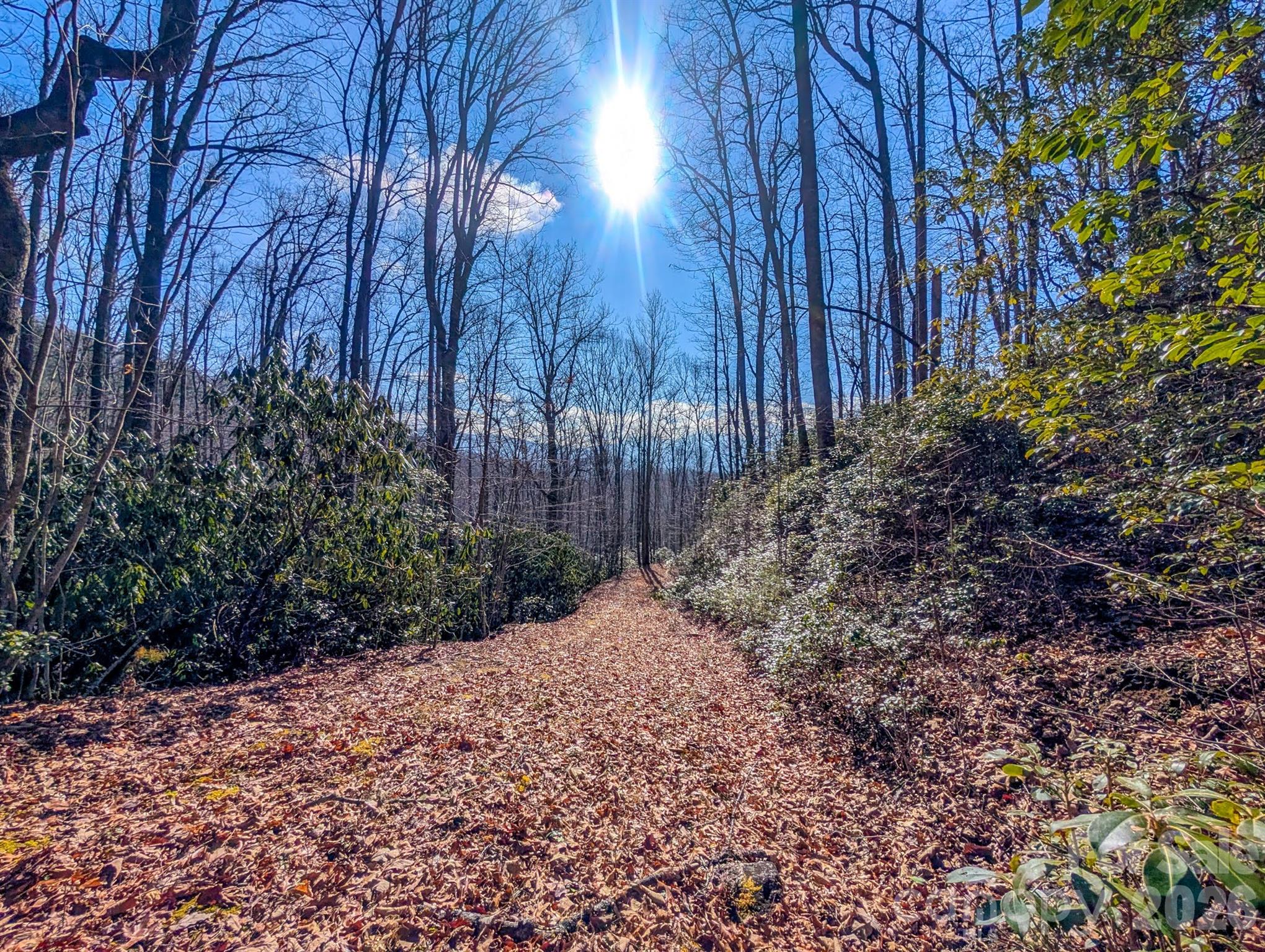 0 Halls Chapel Road Burnsville, NC 28714 - Photo 19 of 47