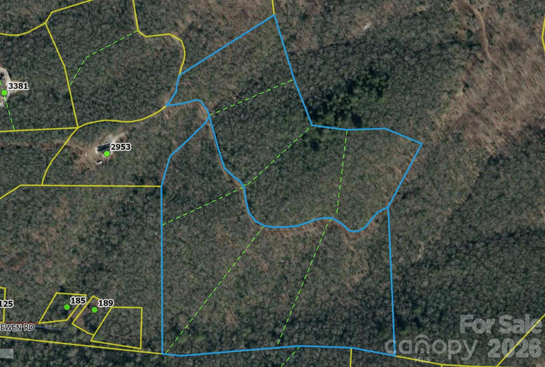 0 Halls Chapel Road Burnsville, NC 28714 - Photo 2 of 47