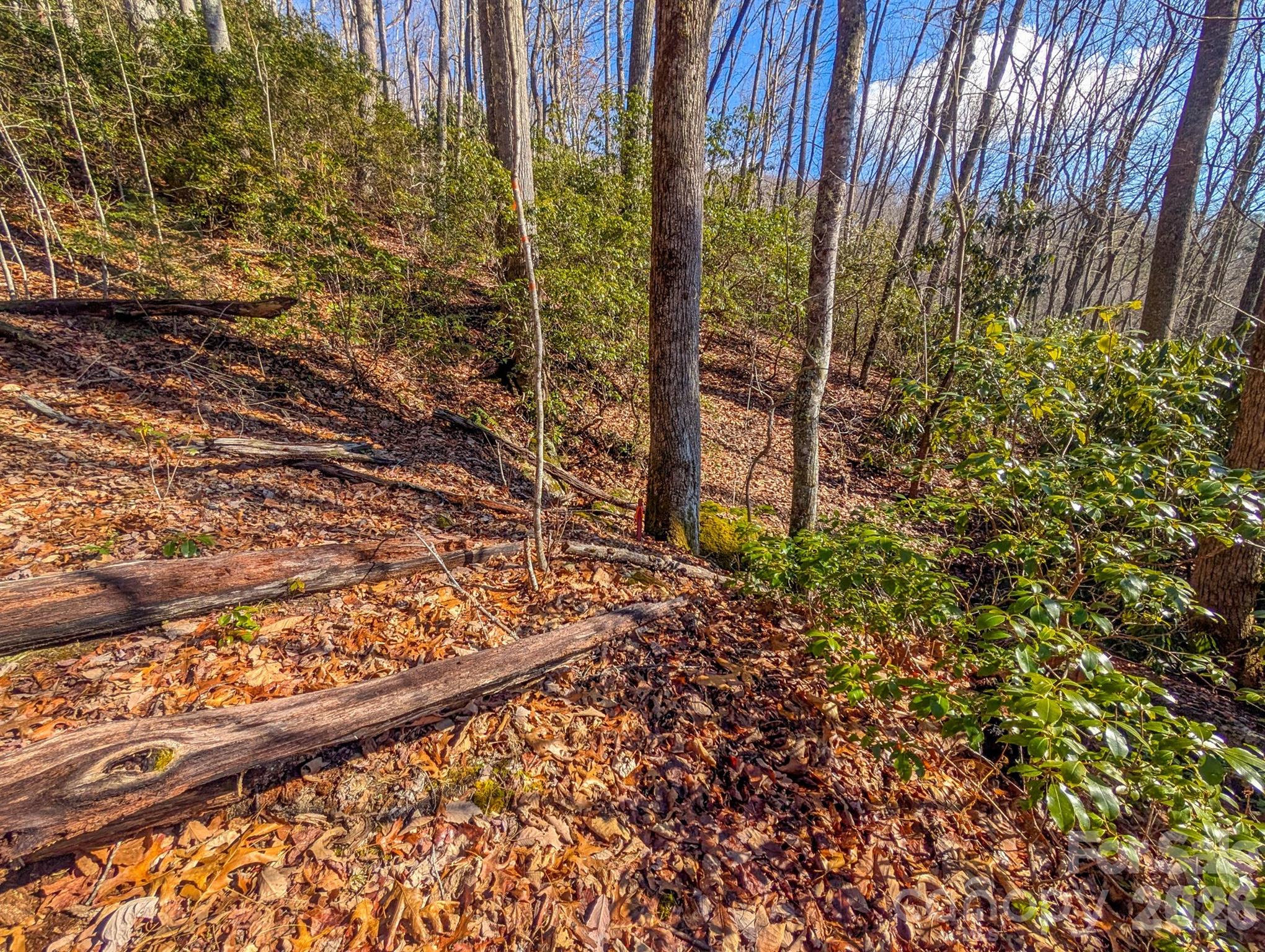 0 Halls Chapel Road Burnsville, NC 28714 - Photo 21 of 47