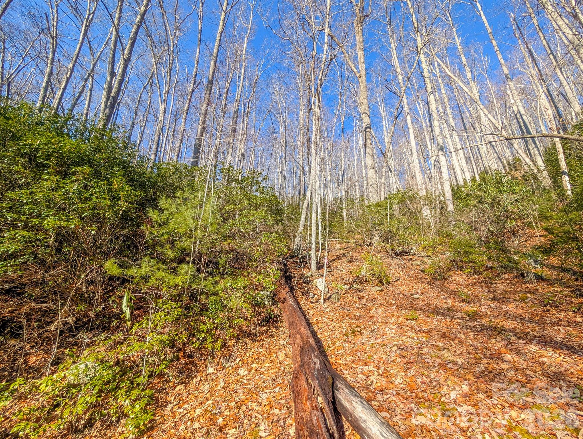 0 Halls Chapel Road Burnsville, NC 28714 - Photo 22 of 47