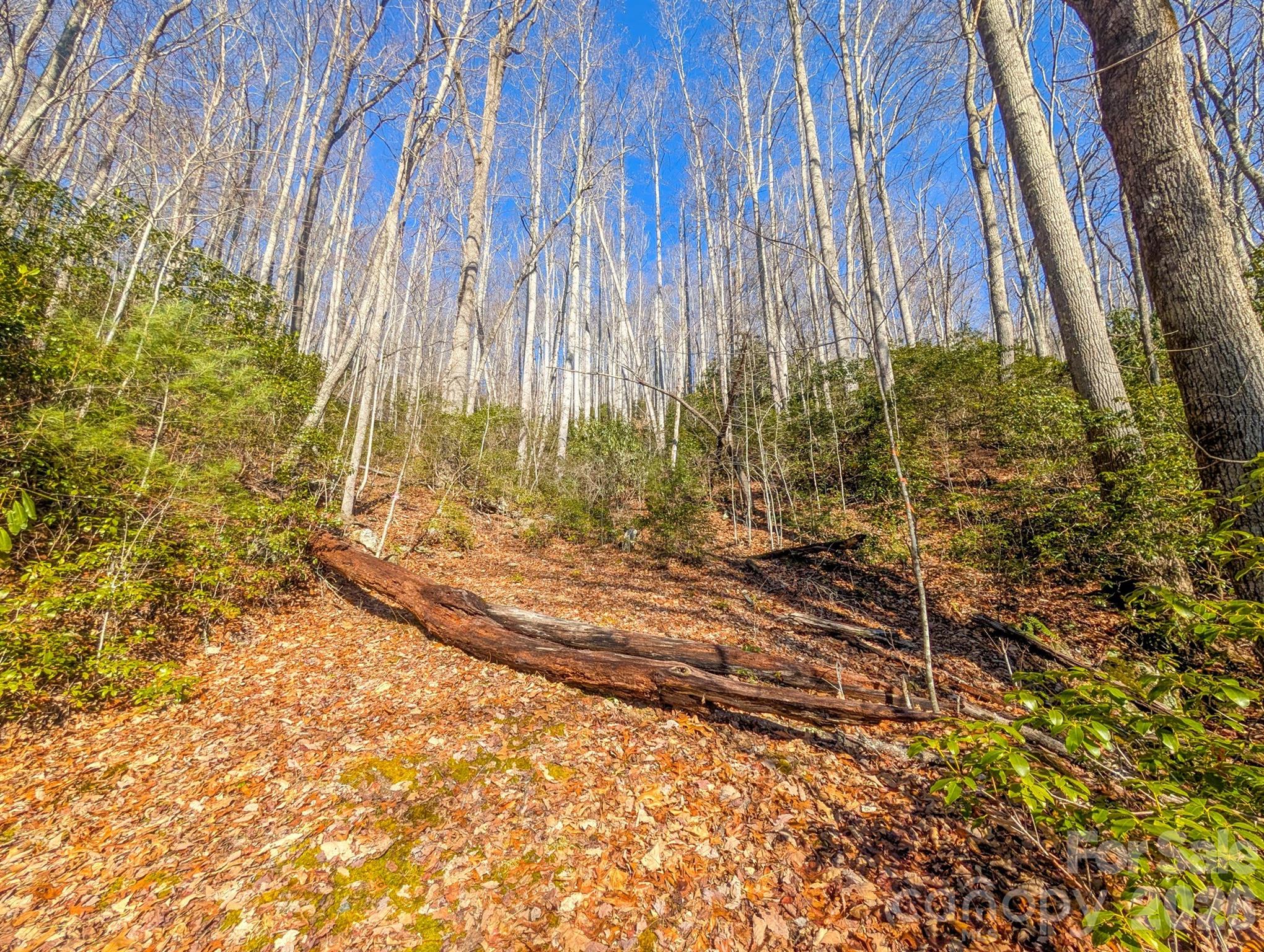 0 Halls Chapel Road Burnsville, NC 28714 - Photo 23 of 47