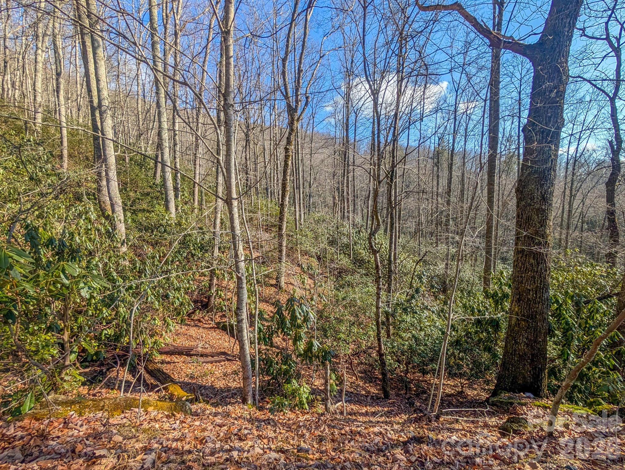 0 Halls Chapel Road Burnsville, NC 28714 - Photo 24 of 47