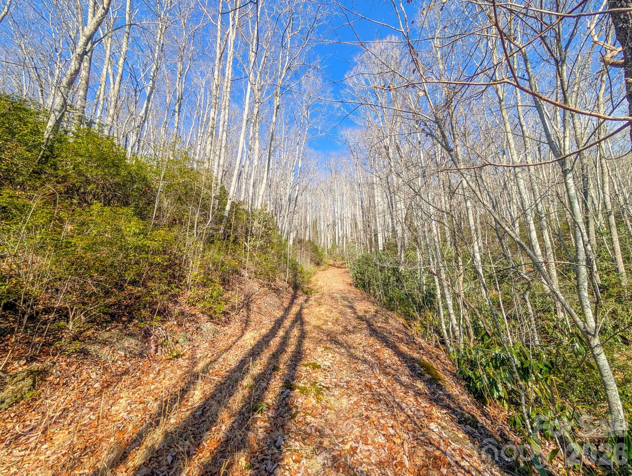 0 Halls Chapel Road Burnsville, NC 28714 - Photo 25 of 47