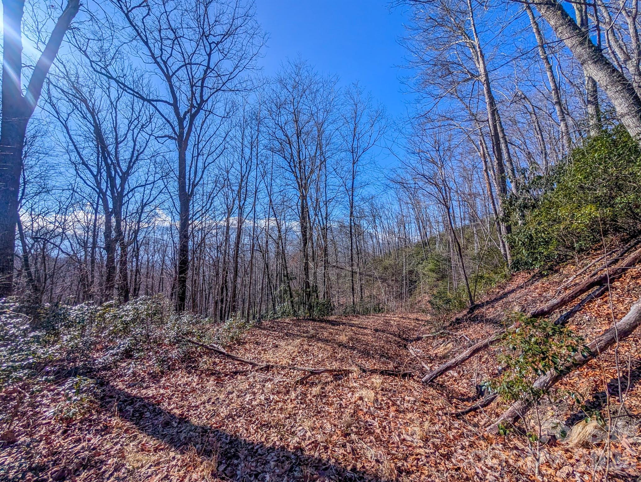 0 Halls Chapel Road Burnsville, NC 28714 - Photo 26 of 47