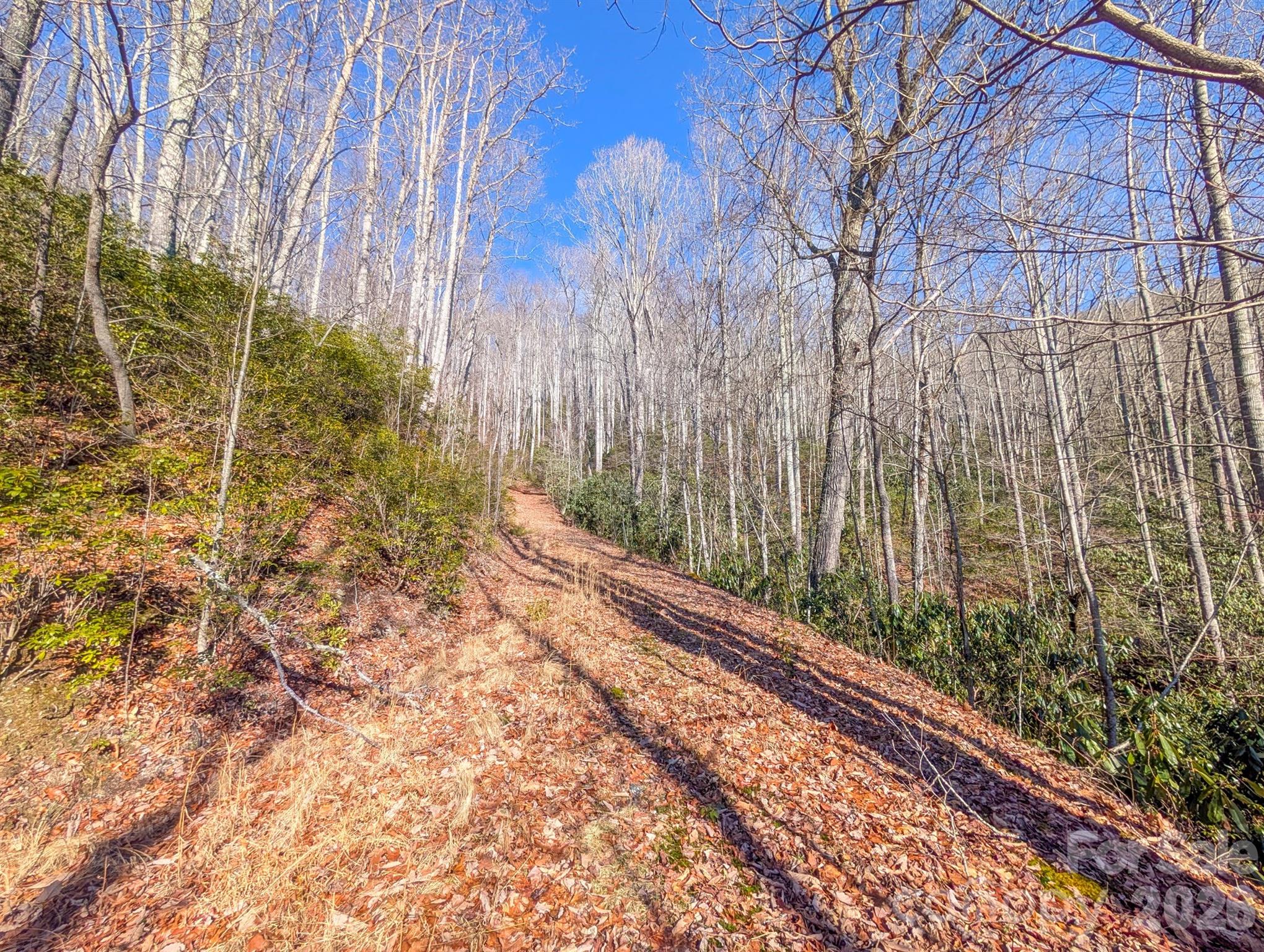 0 Halls Chapel Road Burnsville, NC 28714 - Photo 27 of 47