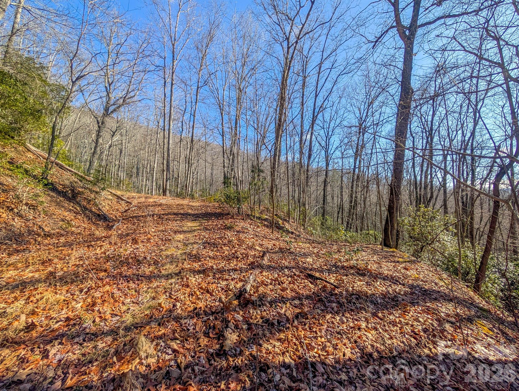 0 Halls Chapel Road Burnsville, NC 28714 - Photo 30 of 47