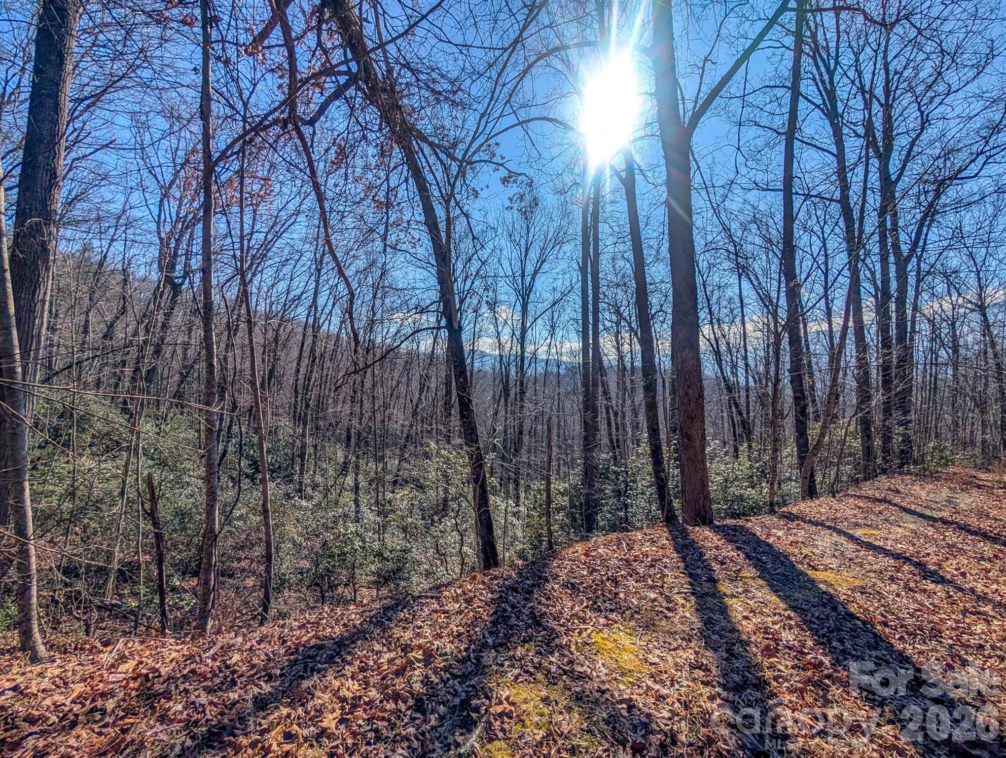 0 Halls Chapel Road Burnsville, NC 28714 - Photo 31 of 47