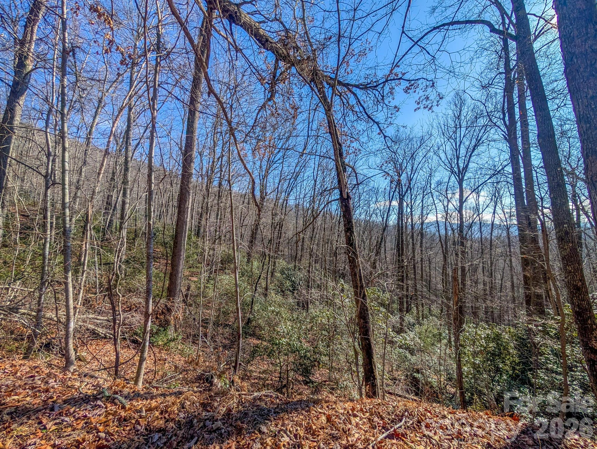 0 Halls Chapel Road Burnsville, NC 28714 - Photo 32 of 47