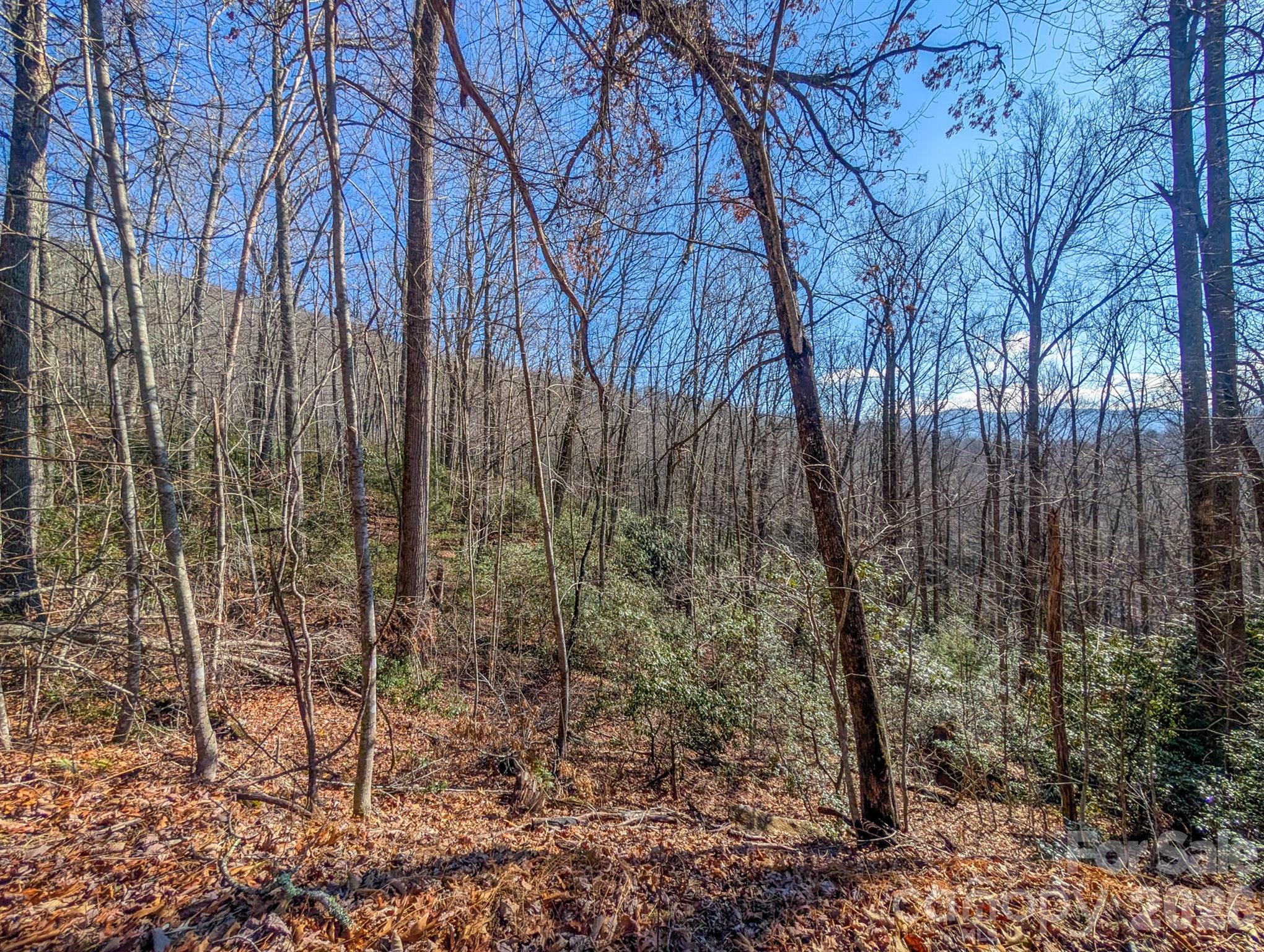 0 Halls Chapel Road Burnsville, NC 28714 - Photo 33 of 47