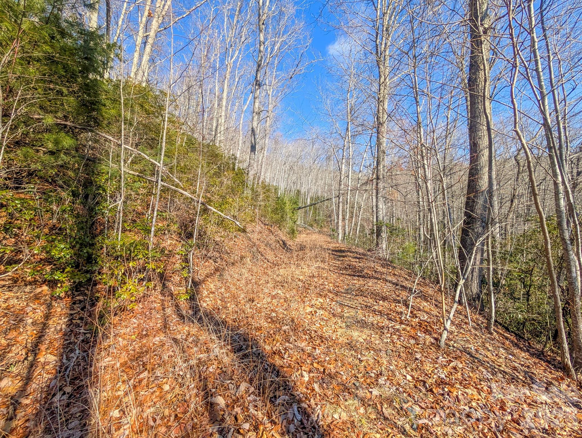 0 Halls Chapel Road Burnsville, NC 28714 - Photo 34 of 47