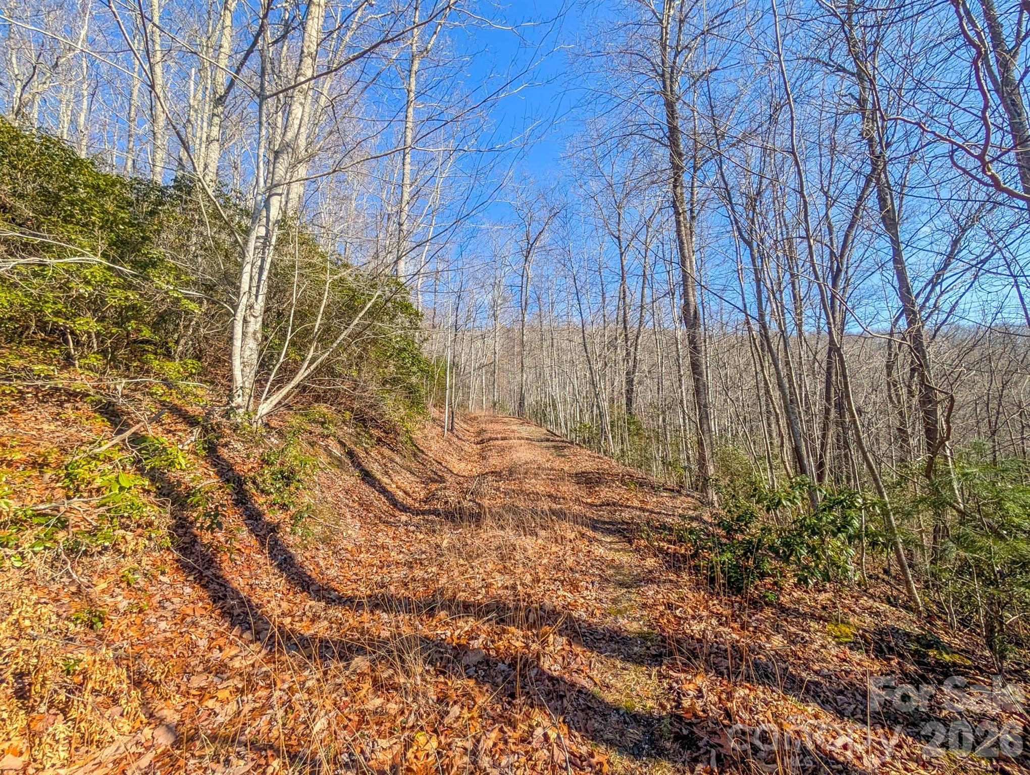 0 Halls Chapel Road Burnsville, NC 28714 - Photo 36 of 47