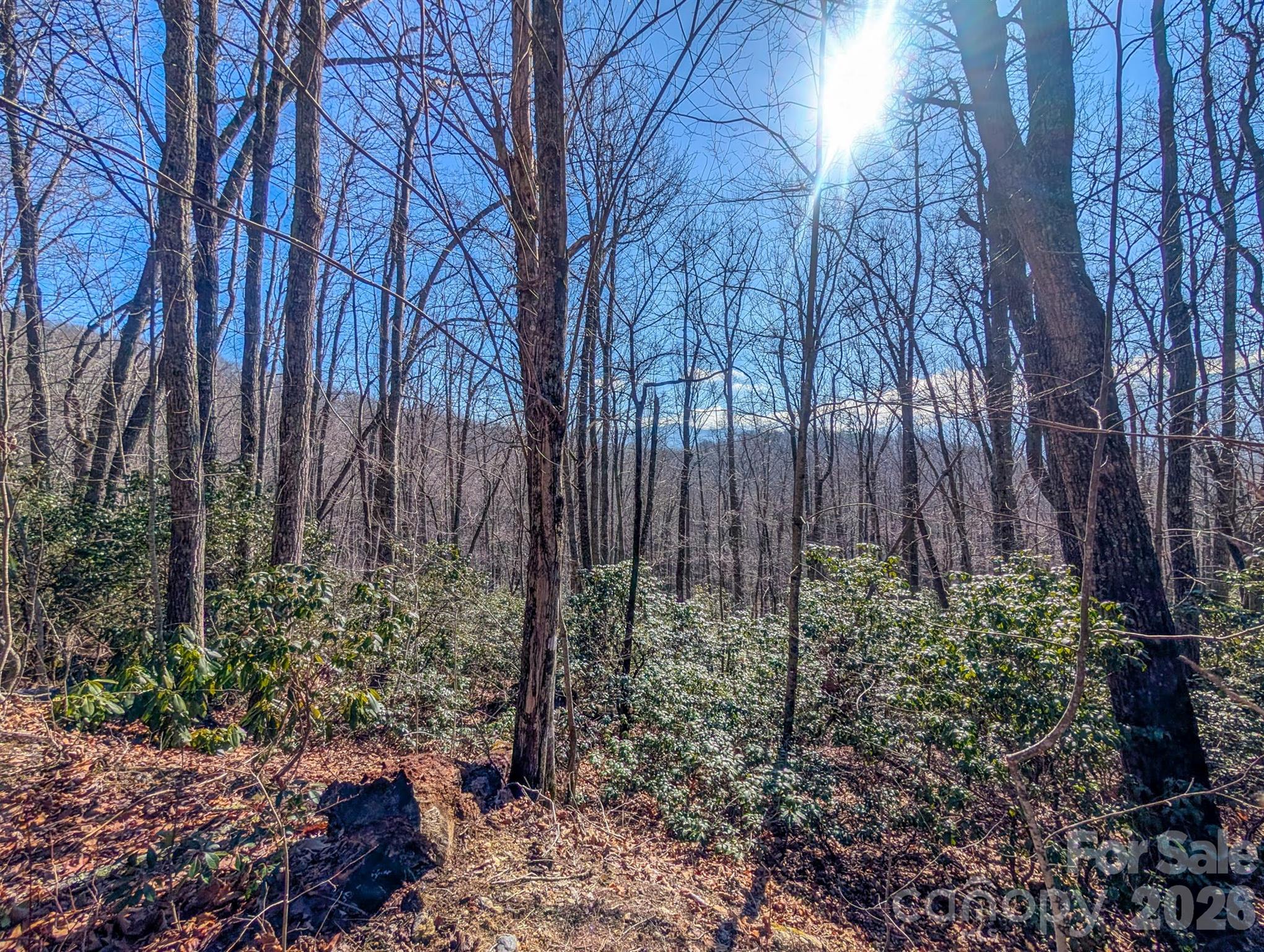 0 Halls Chapel Road Burnsville, NC 28714 - Photo 37 of 47