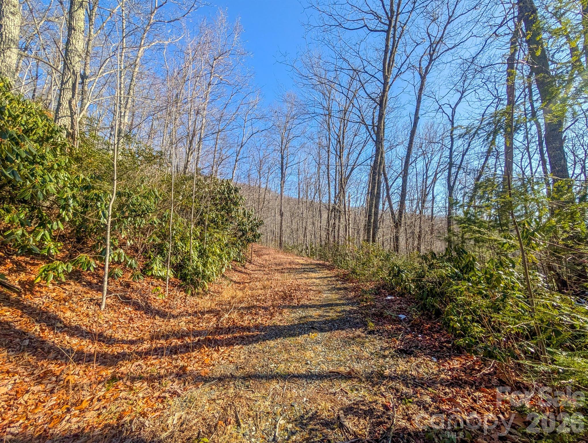 0 Halls Chapel Road Burnsville, NC 28714 - Photo 38 of 47