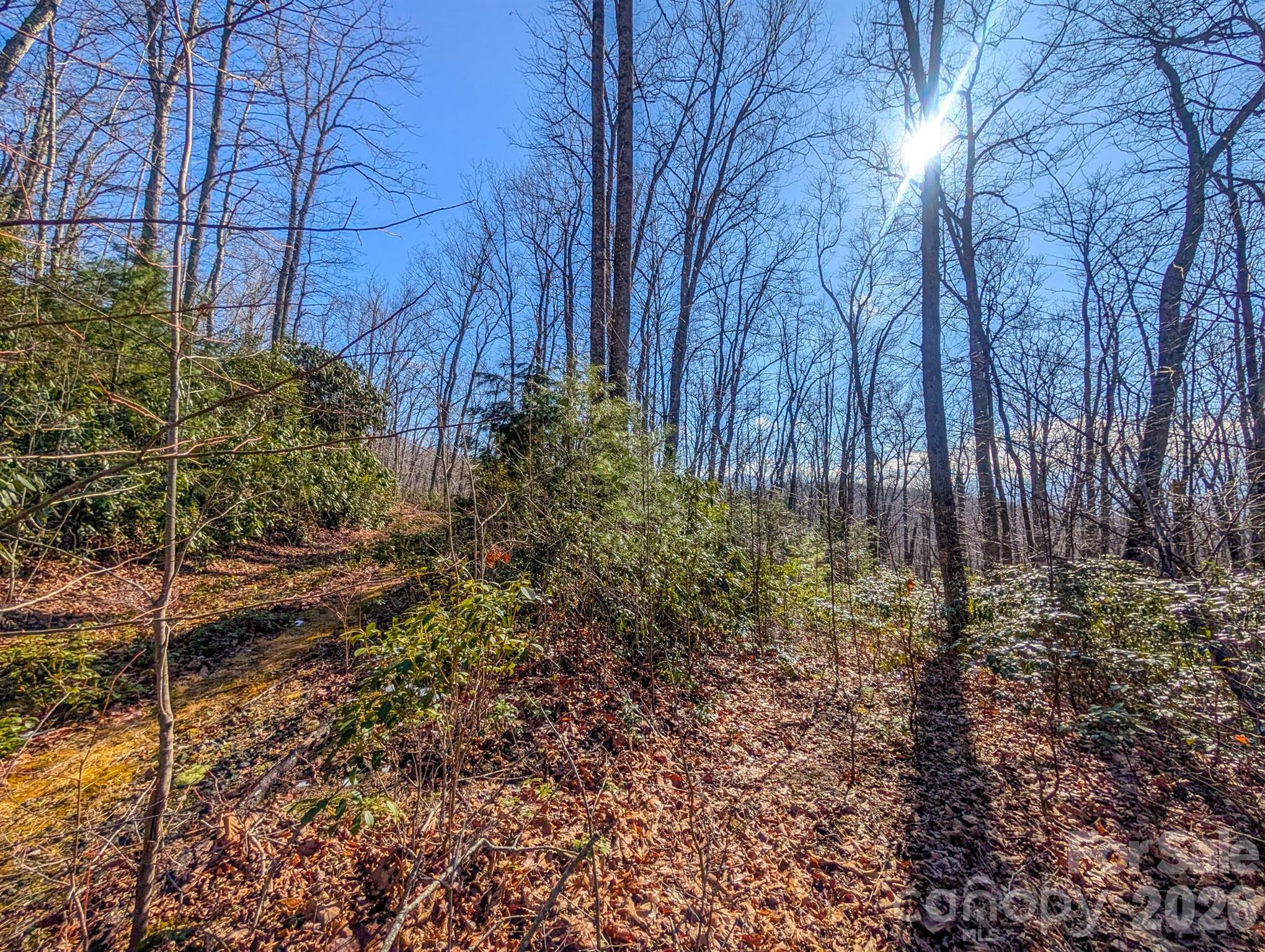 0 Halls Chapel Road Burnsville, NC 28714 - Photo 39 of 47