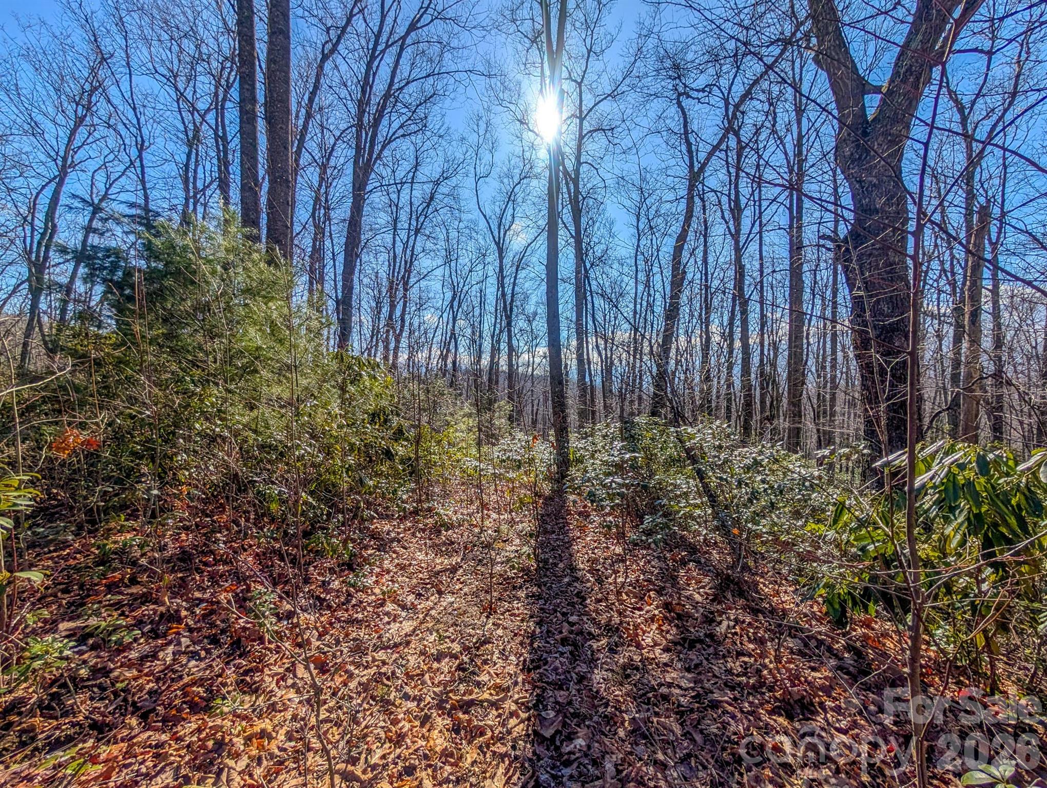 0 Halls Chapel Road Burnsville, NC 28714 - Photo 40 of 47