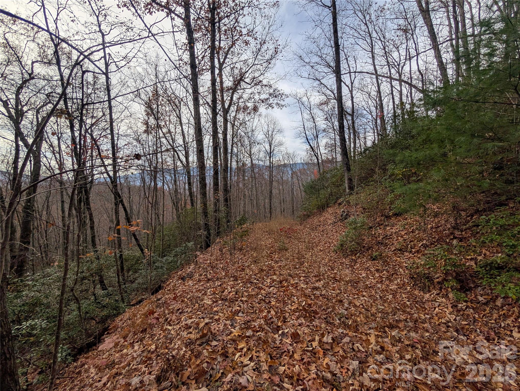 0 Halls Chapel Road Burnsville, NC 28714 - Photo 4 of 47