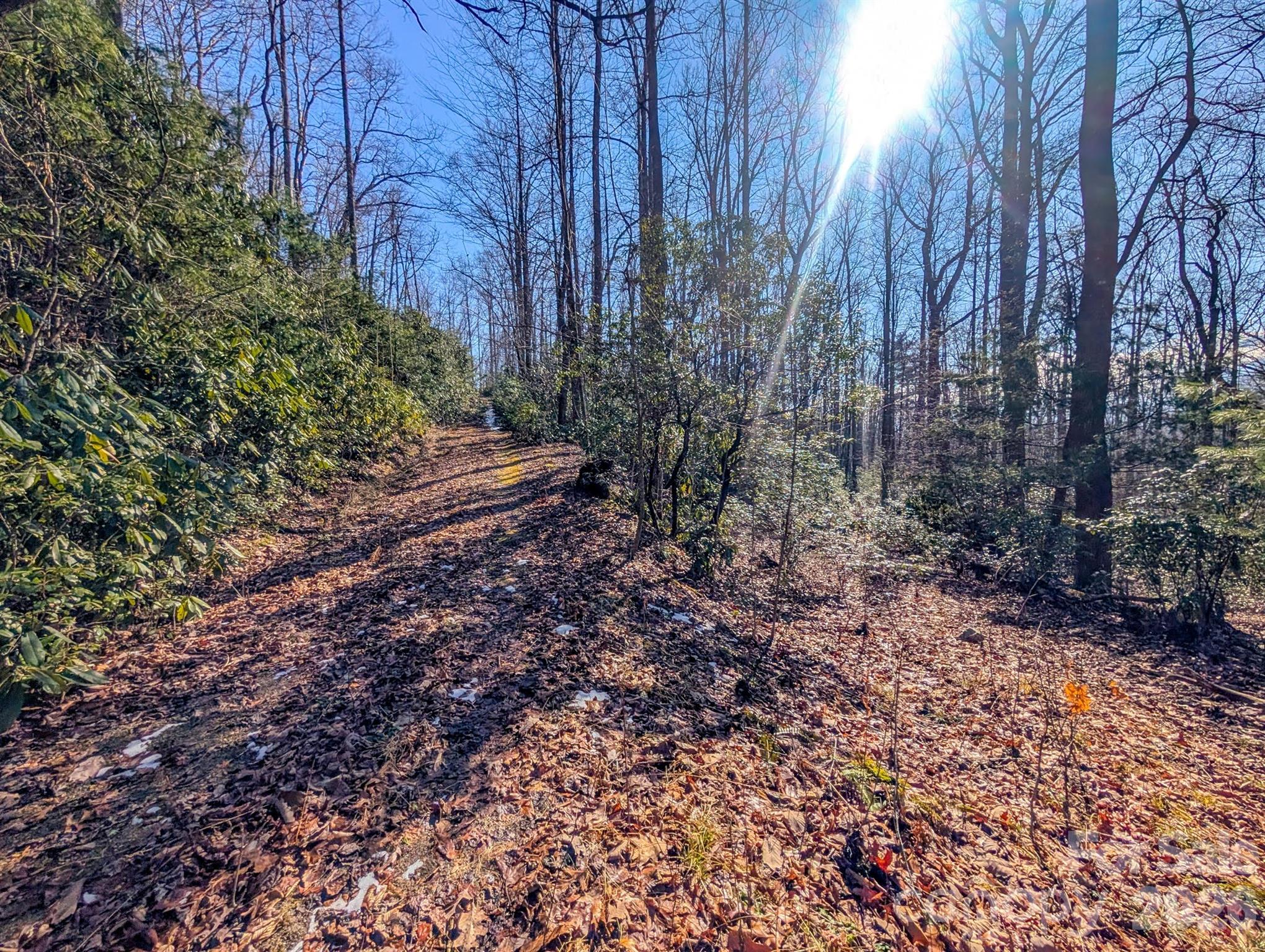 0 Halls Chapel Road Burnsville, NC 28714 - Photo 41 of 47