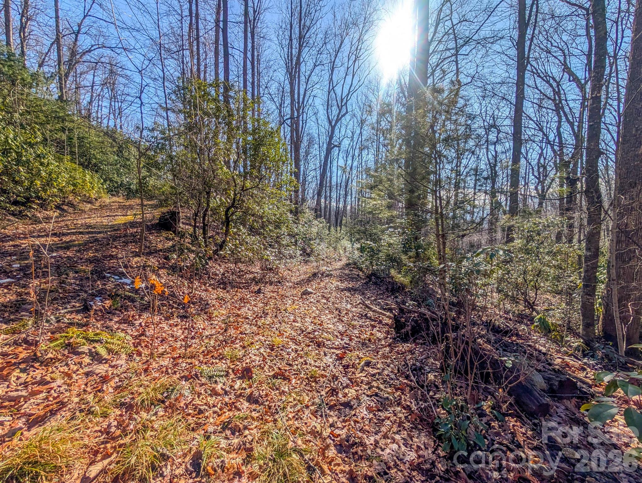 0 Halls Chapel Road Burnsville, NC 28714 - Photo 42 of 47