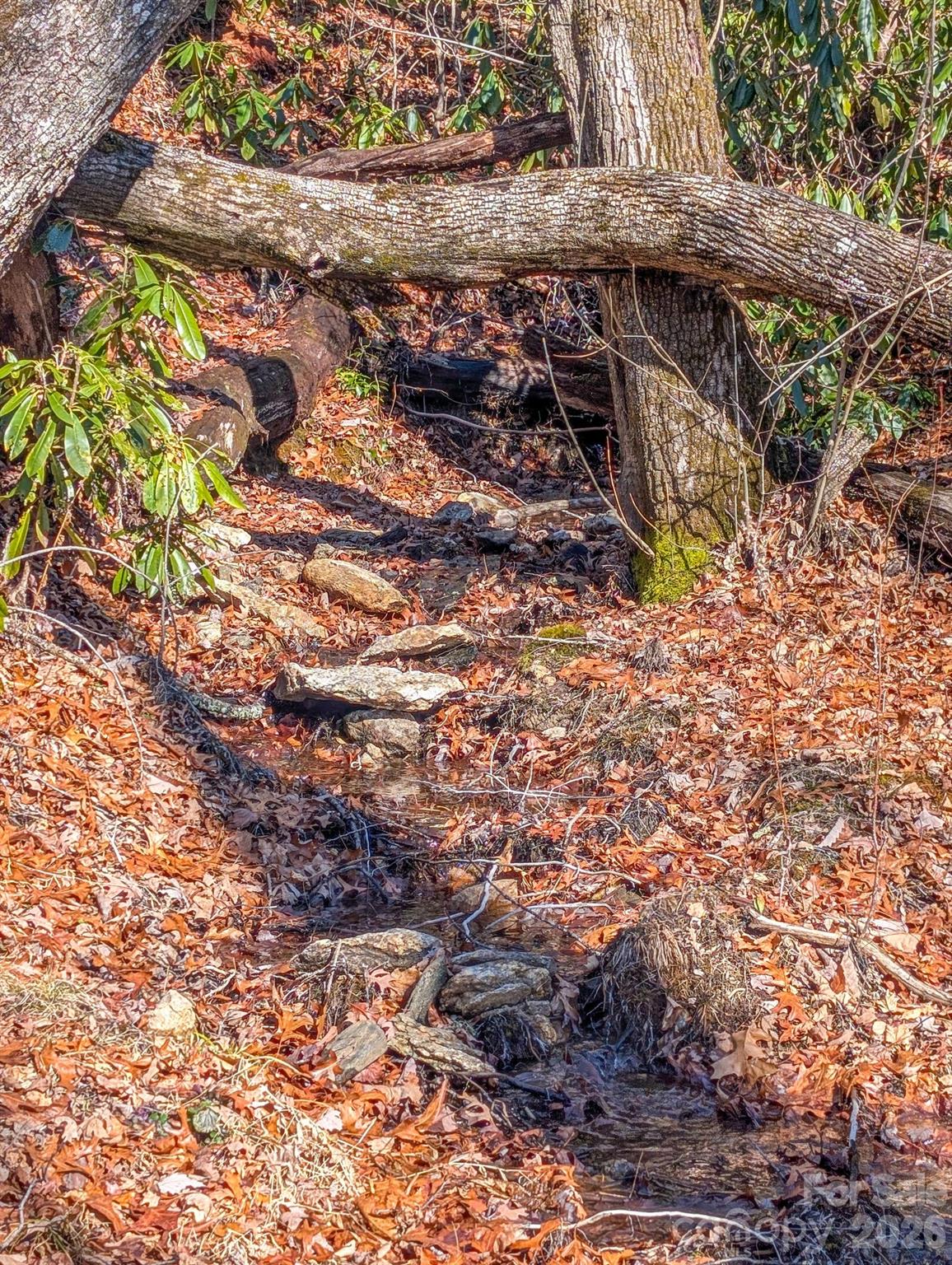 0 Halls Chapel Road Burnsville, NC 28714 - Photo 43 of 47