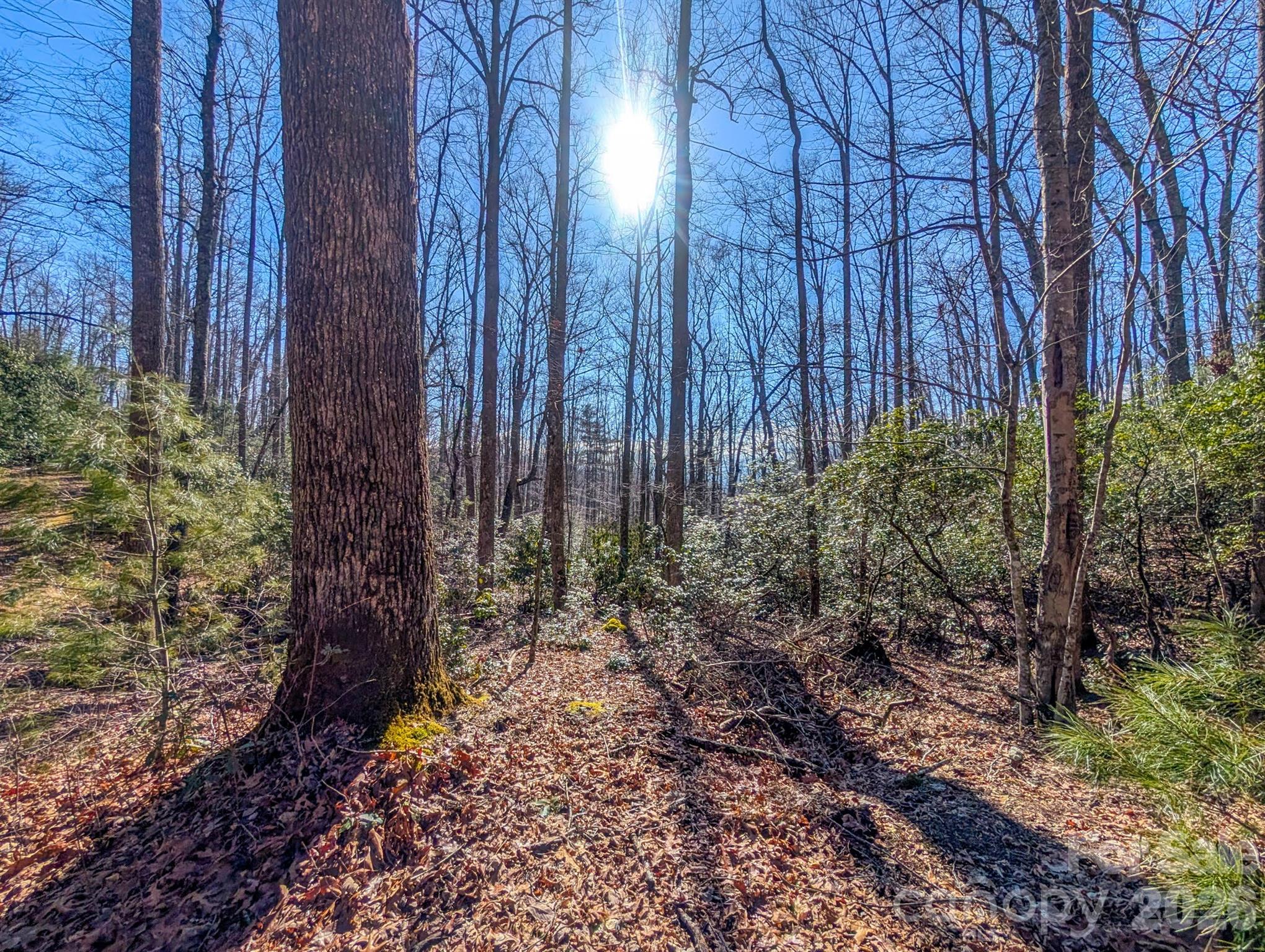 0 Halls Chapel Road Burnsville, NC 28714 - Photo 44 of 47