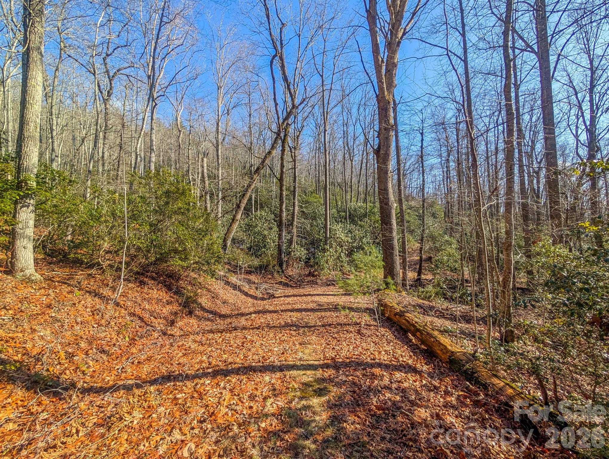 0 Halls Chapel Road Burnsville, NC 28714 - Photo 45 of 47