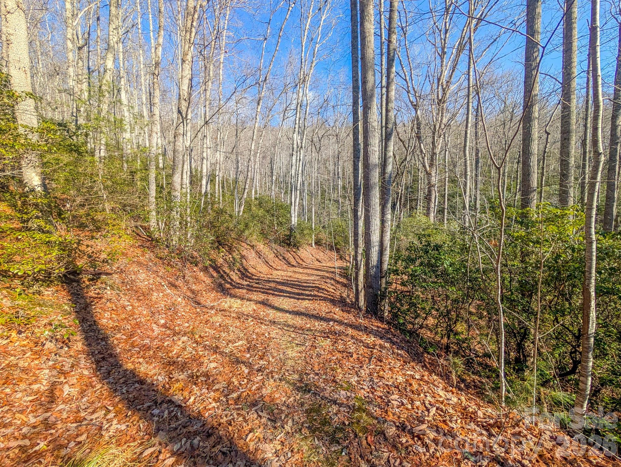 0 Halls Chapel Road Burnsville, NC 28714 - Photo 46 of 47