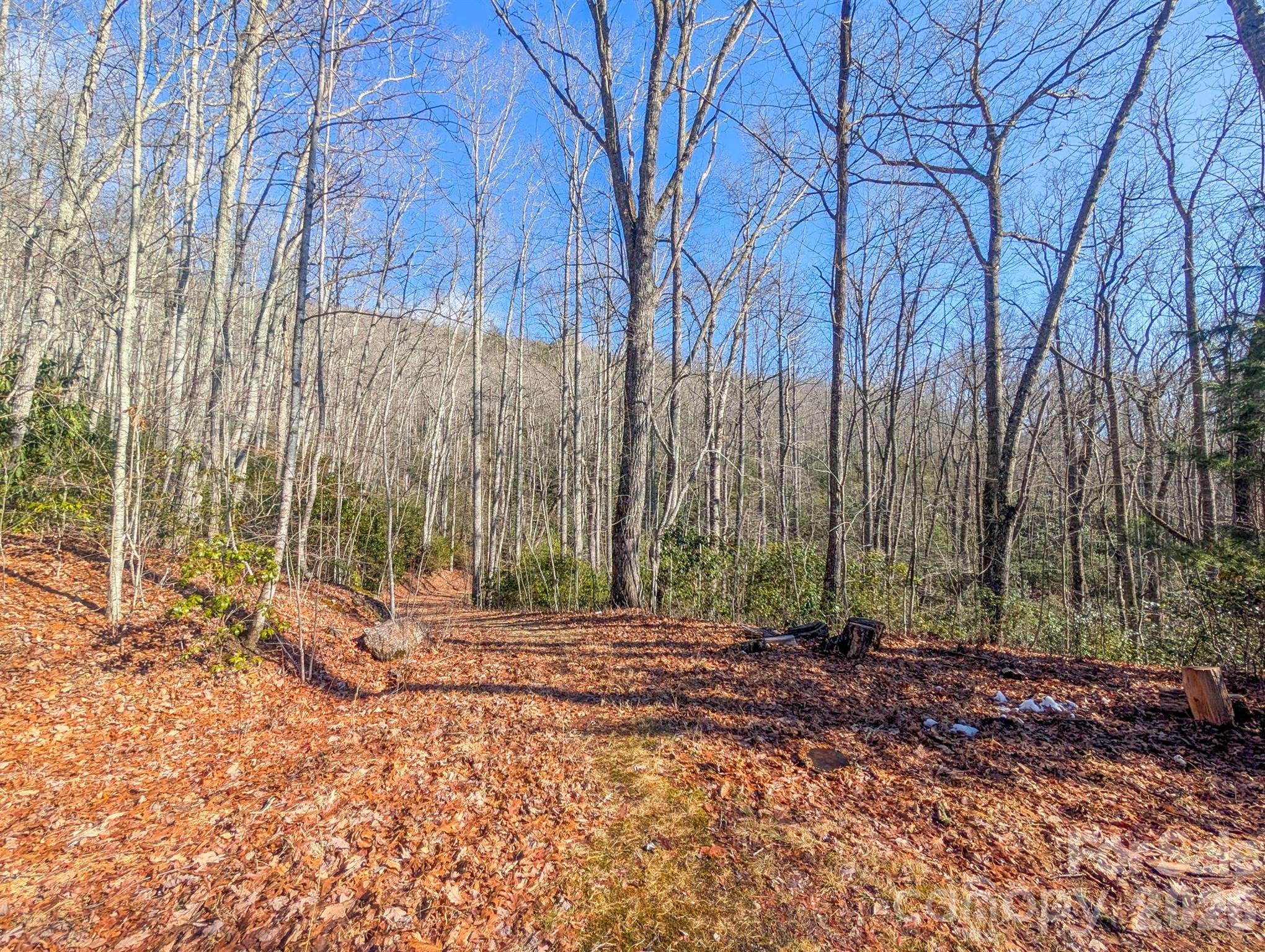 0 Halls Chapel Road Burnsville, NC 28714 - Photo 47 of 47