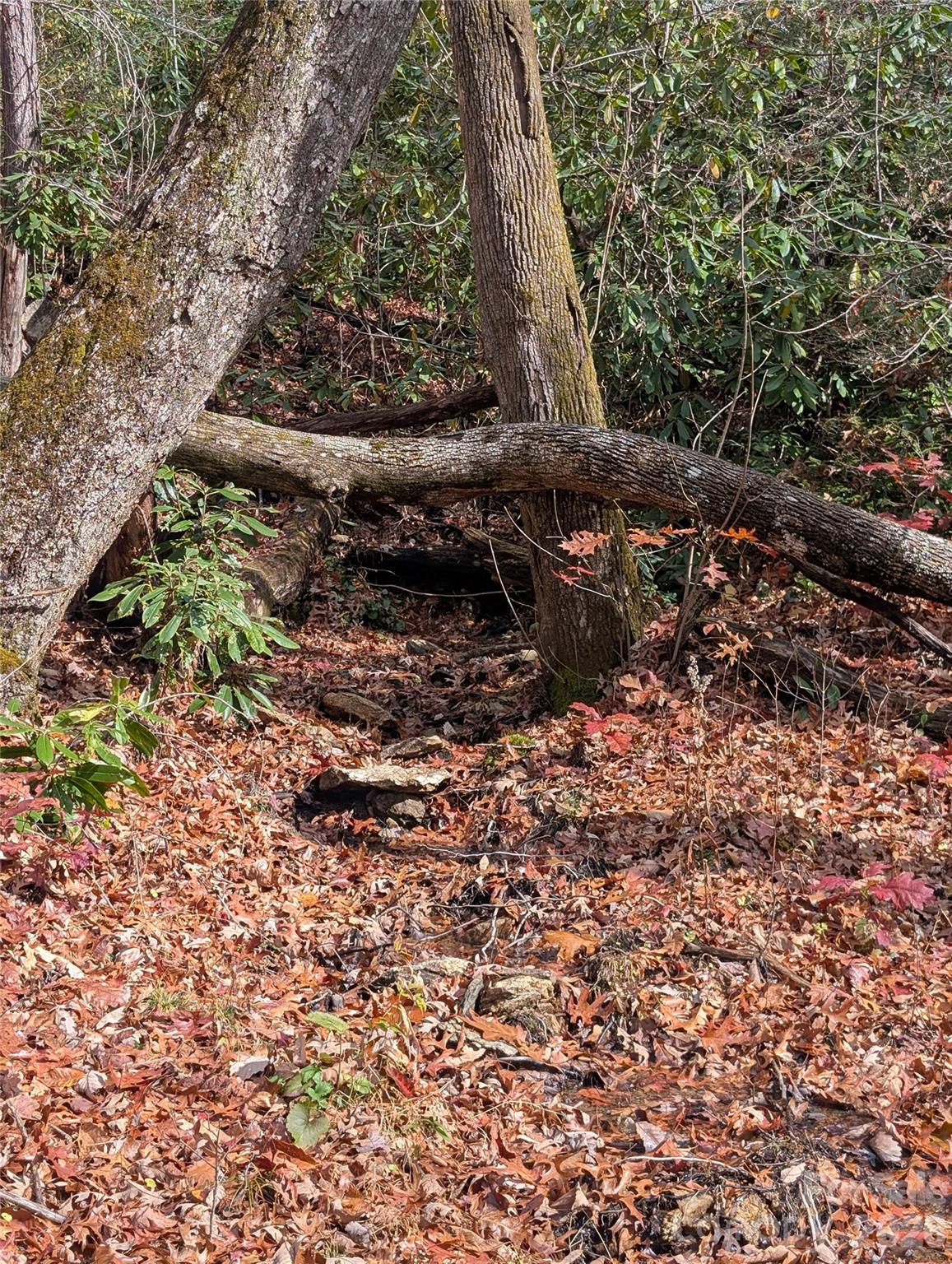 0 Halls Chapel Road Burnsville, NC 28714 - Photo 7 of 47