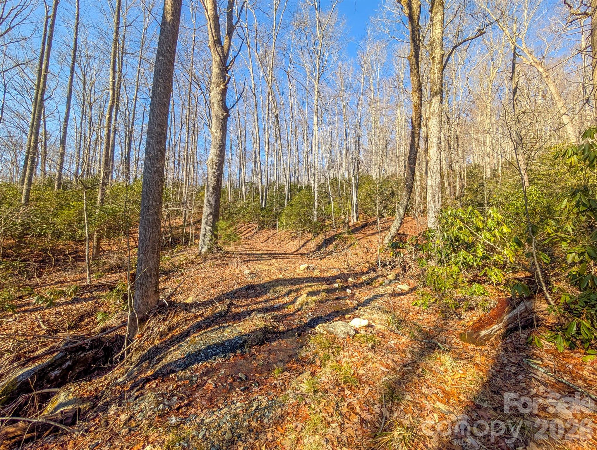 0 Halls Chapel Road Burnsville, NC 28714 - Photo 9 of 47
