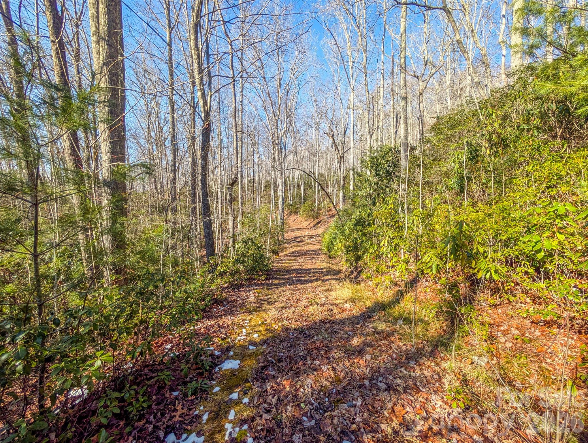 0 Halls Chapel Road Burnsville, NC 28714 - Photo 10 of 47