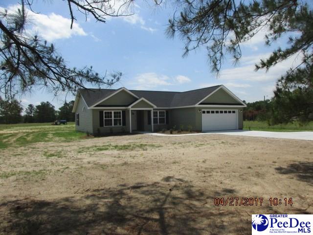 286 Pocosin Road Latta, SC 29565 - Photo 1 of 1 Gallery Image 1