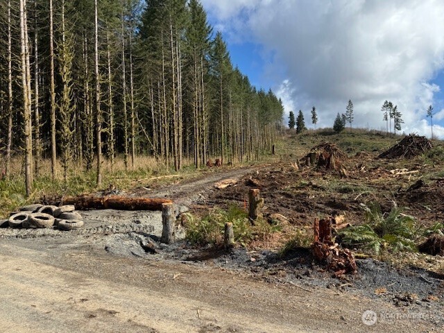 2 August Road Onalaska, WA 98570 - Photo 6 of 6 Gallery Image 6