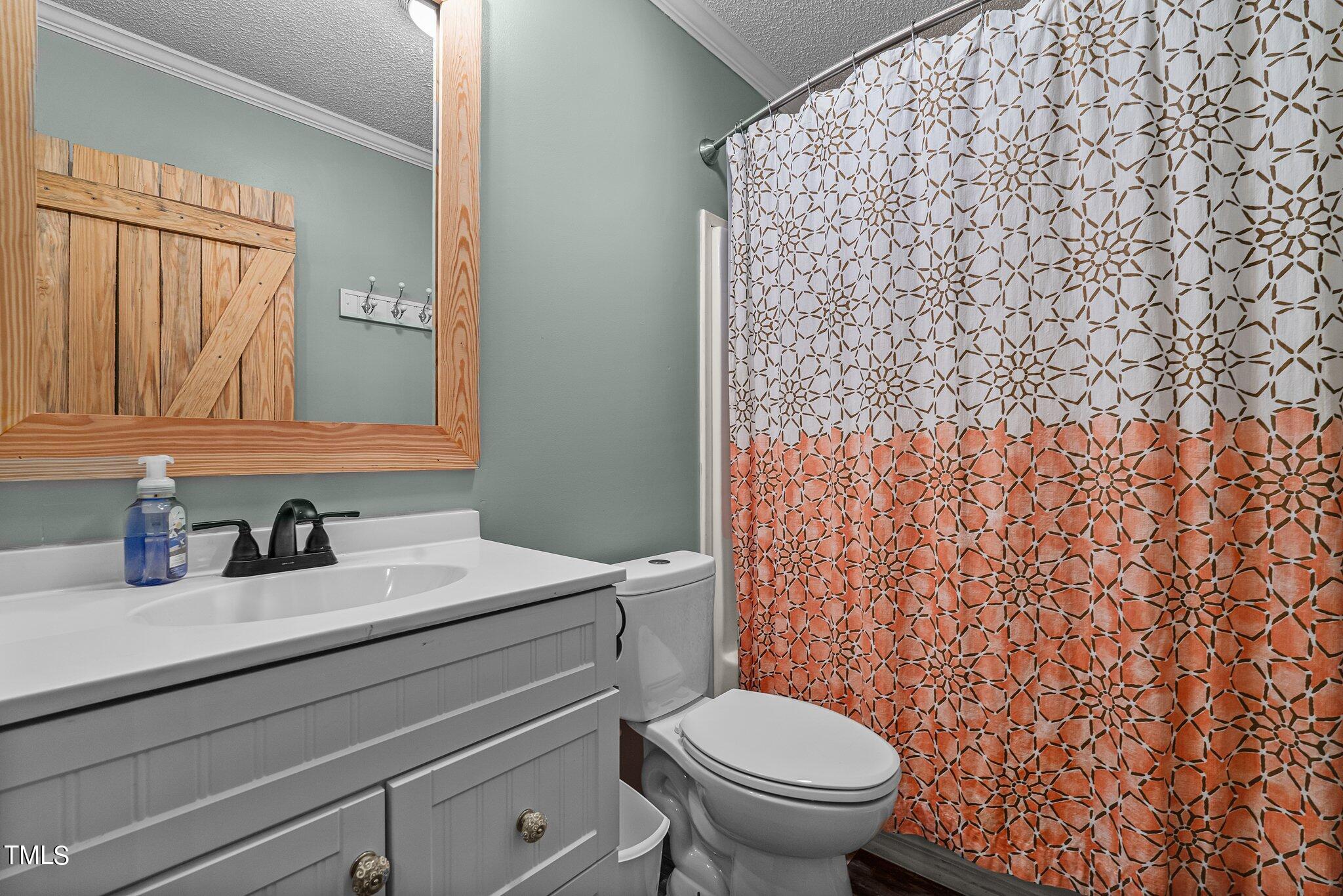 150 Box Elder Terrace Cameron, NC 28326 - Photo 16 of 23 a bathroom with a sink toilet and mirror