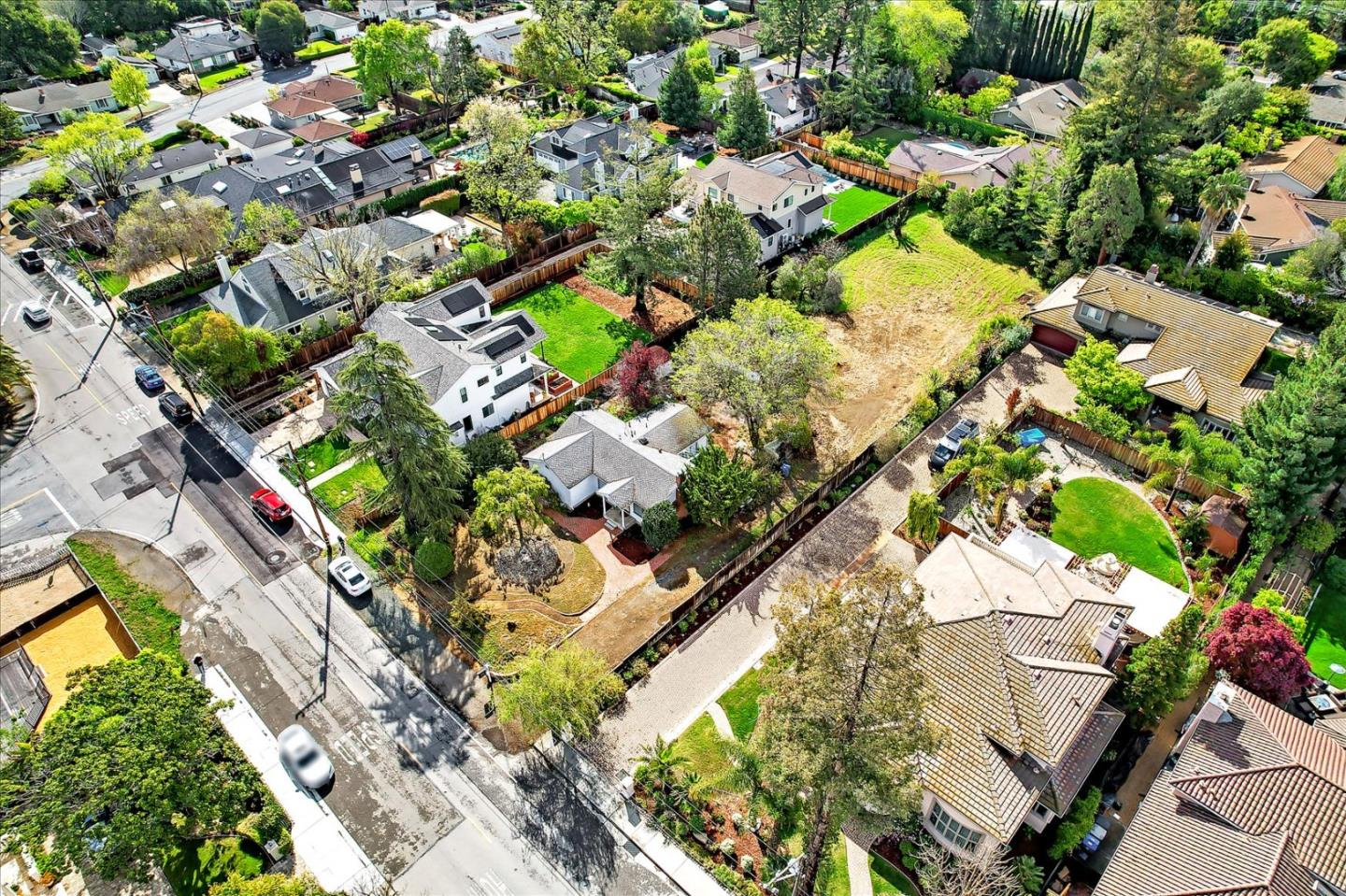 679 Sleeper Avenue Mountain View, CA 94040 - Photo 31 of 51 a picture of flowers