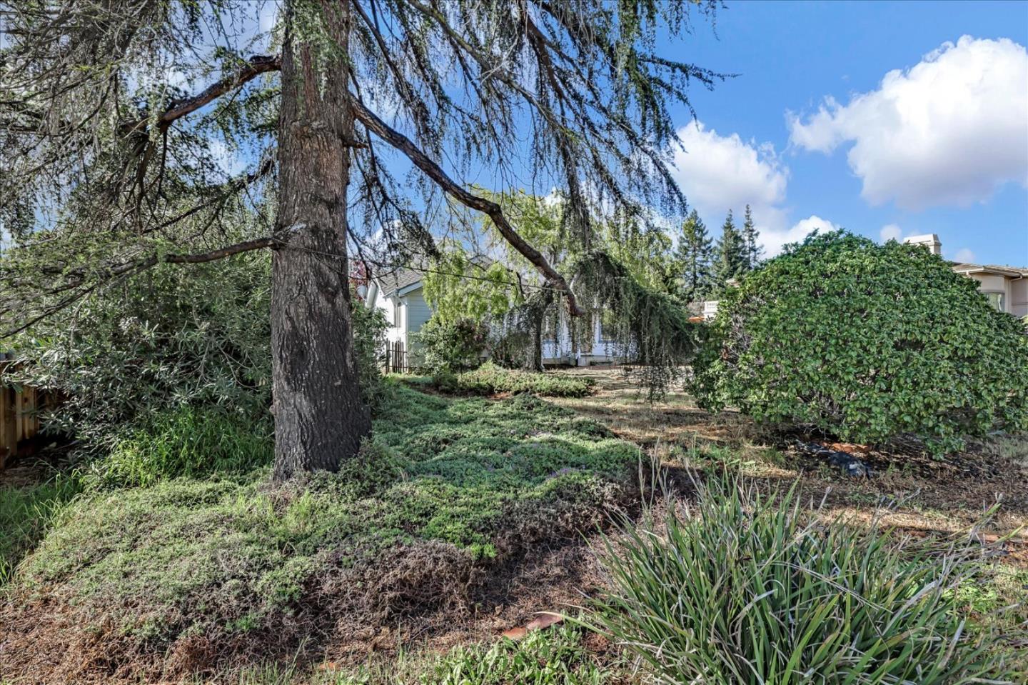 679 Sleeper Avenue Mountain View, CA 94040 - Photo 4 of 51 a view of yard with green space