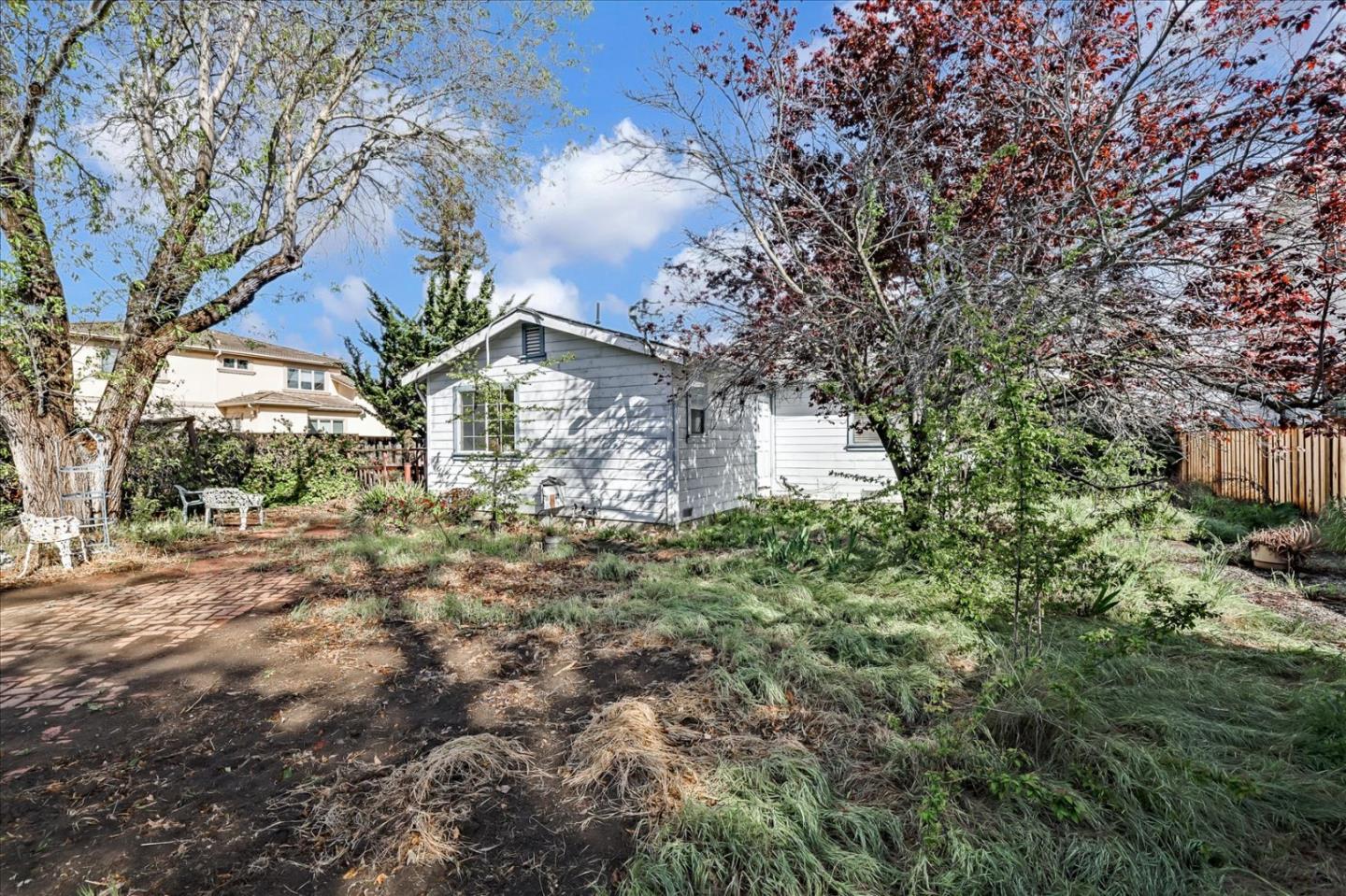679 Sleeper Avenue Mountain View, CA 94040 - Photo 9 of 51 a view of a yard with plants and large trees
