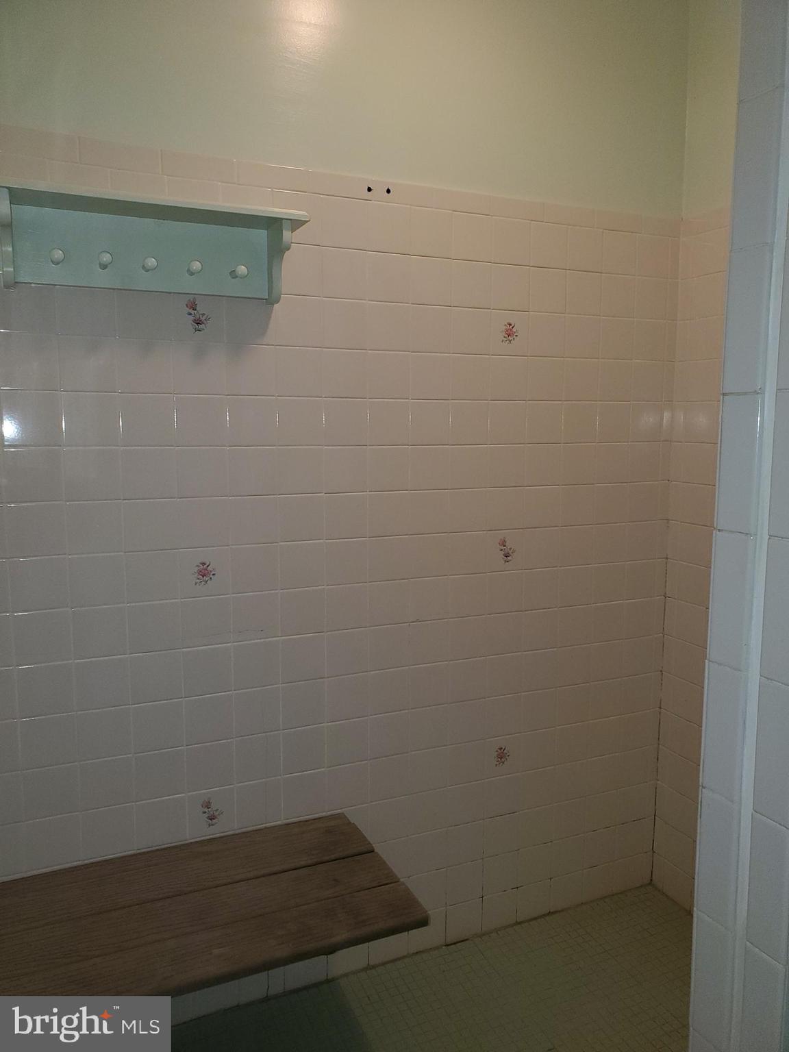2787 Cedar Drive Riva, MD 21140 - Photo 30 of 35 Walk in shower