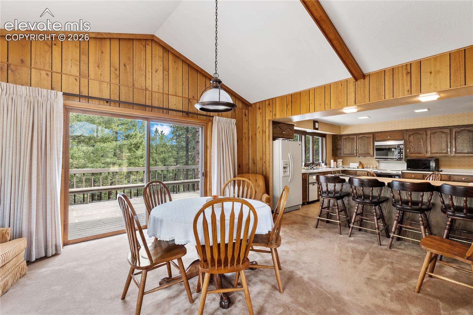 580 Mills Ranch Road Woodland Park, CO 80863 - Photo 2 of 26 Gallery Image 2
