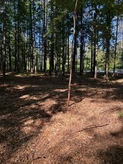 46 Davis Road Hiram, GA 30141 - Photo 10 of 17 a backyard of a house with lots of green space