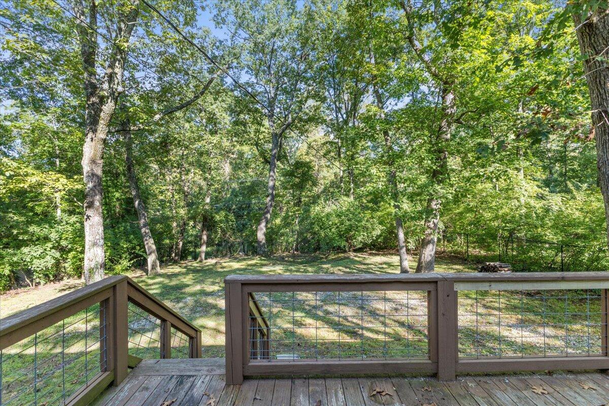 921 Ridgeway Avenue Signal Mountain, TN 37377 - Photo 28 of 43 28-IMG_0069