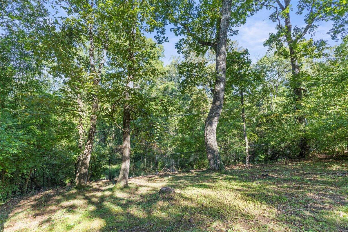 921 Ridgeway Avenue Signal Mountain, TN 37377 - Photo 33 of 43 33-IMG_0084